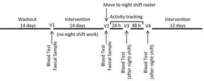 Probiotics, Anticipation Stress, and the Acute Immune Response to Night Shift